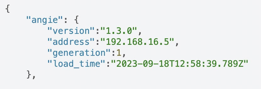 https://angie.software/api/#id5